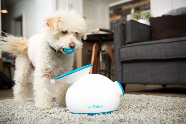 ifetch-automatic-ball-launcher-dogs-ready-to-play.jpg
