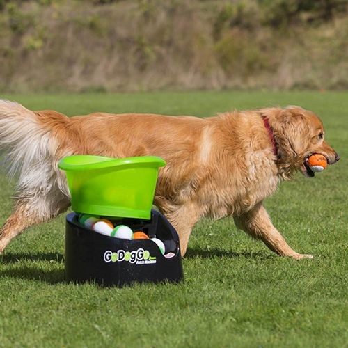 godoggo automatic dog ball launcher